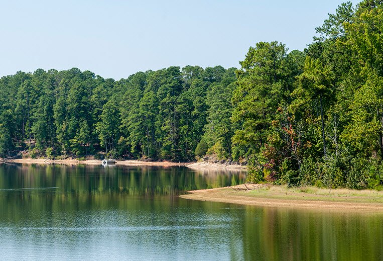 Baker Creek State Park, South Carolina, USA